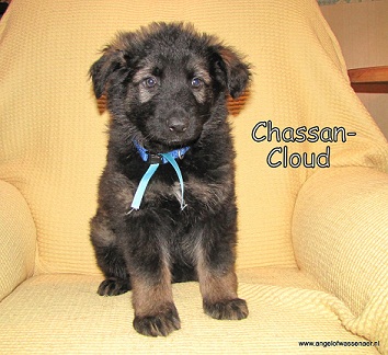 Chassan gaat Cloud heten